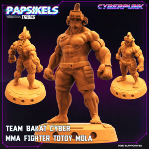 EAM BAKAT CYBER MMA FIGHTER TOTOY DAKS MOLA resinarmies.com papsikels 3dprint