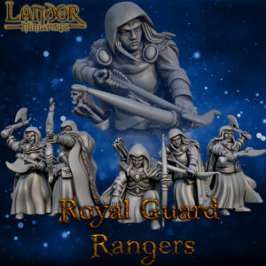 720X720-royal-guard-rangers1