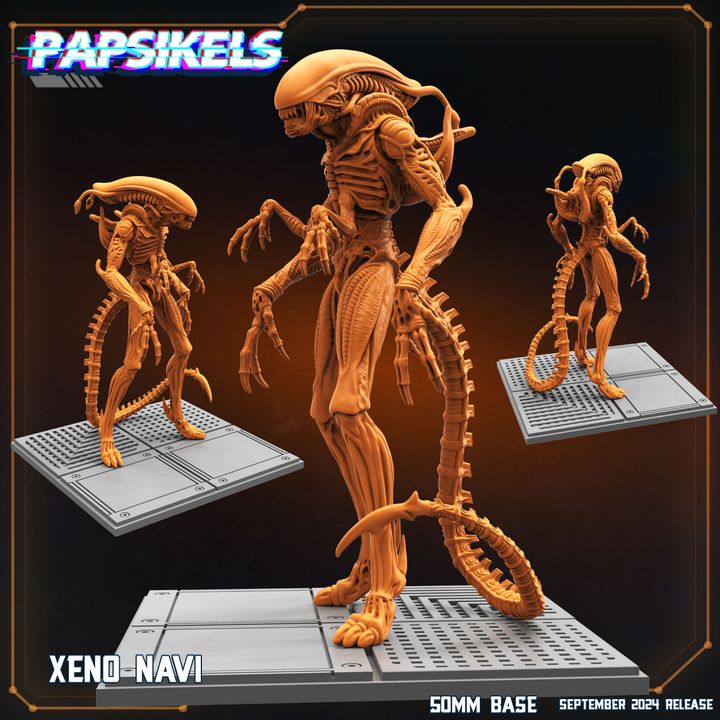 720X720-XENO_NAVI (1)