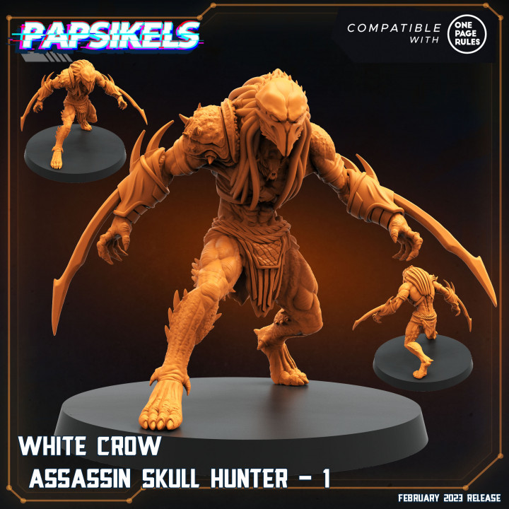 720X720-white-crow-assasin-skull-hunter-1_papsikels_miniatures_resinarmies.com_3dprinted_miniatures_store_resin_minis