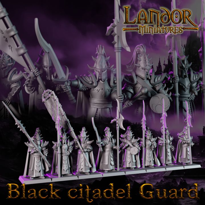 720X720-Black Citadel Guard 2_landor_resinarmies.com_3dprinted_miniatures_store_resin_minis