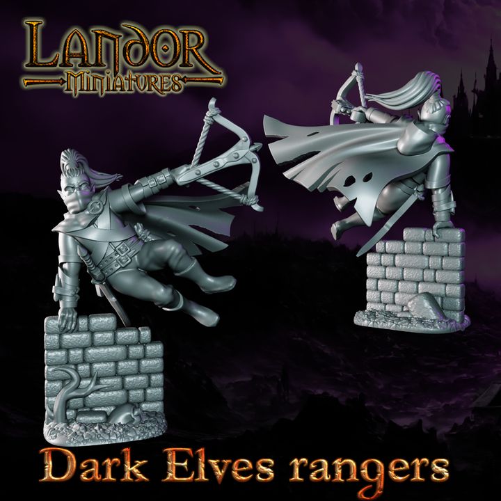 720X720-Dark Elves Rangers 4_landor_resinarmies.com_3dprinted_miniatures_store_resin_minis