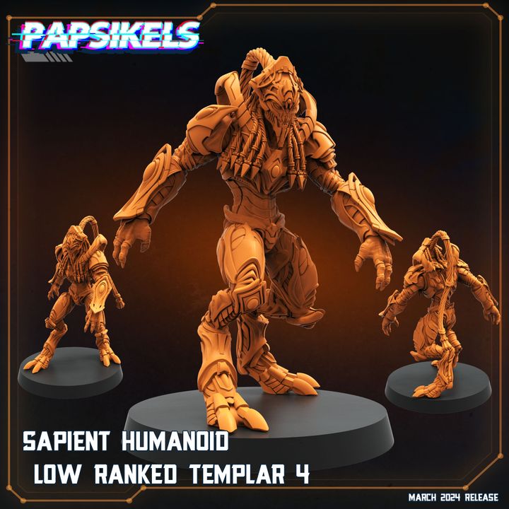 720X720-SAPIENT_HUMANOID_LOW_RANKED_TEMPLAR_4_papsikels_miniatures_resinarmies.com_3dprinted_miniatures_store_resin_minis