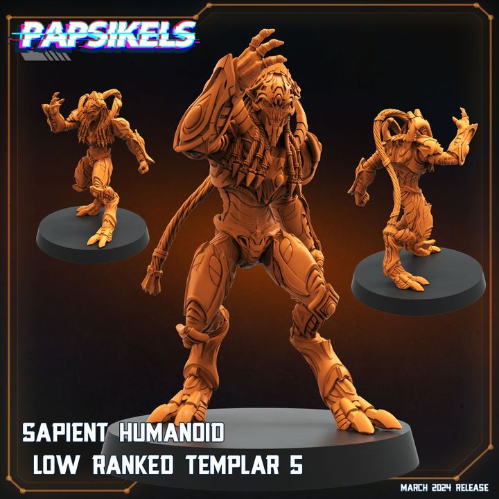 720X720-SAPIENT_HUMANOID_LOW_RANKED_TEMPLAR_5_papsikels_miniatures_resinarmies.com_3dprinted_miniatures_store_resin_minis